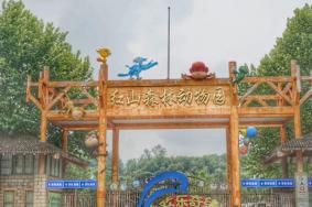 2023南京红山森林动物园门票多少钱