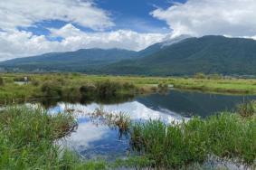 腾冲北海湿地公园什么时候去最好