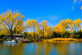 北京秋天哪個公園最美 最新絕美賞秋地點