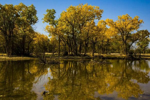 新疆秋季最美的十大景点推荐