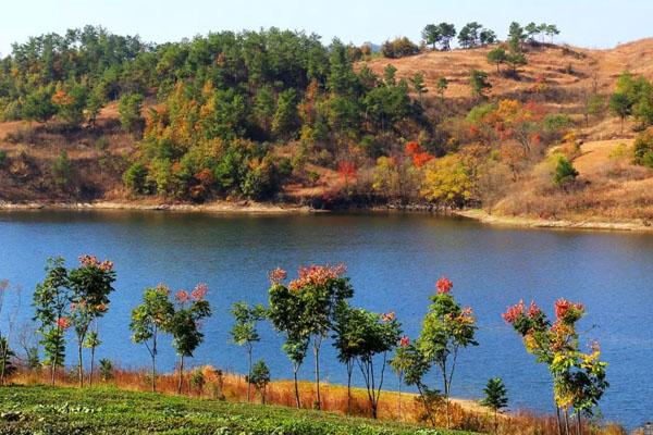 湖北赏红叶最好的地方 看红叶最美的景点有哪些