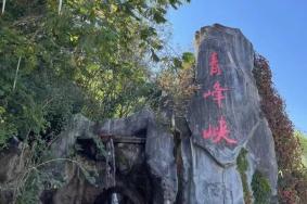 2022青峰峡国家森林公园门票