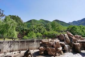秦岭野生动物园怎么玩