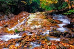 11月10日起米仓山旅游景区实行自驾游