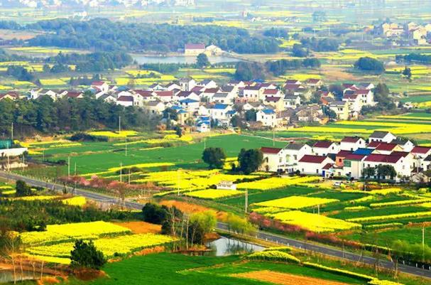 南京乡村旅游直通车路线推荐