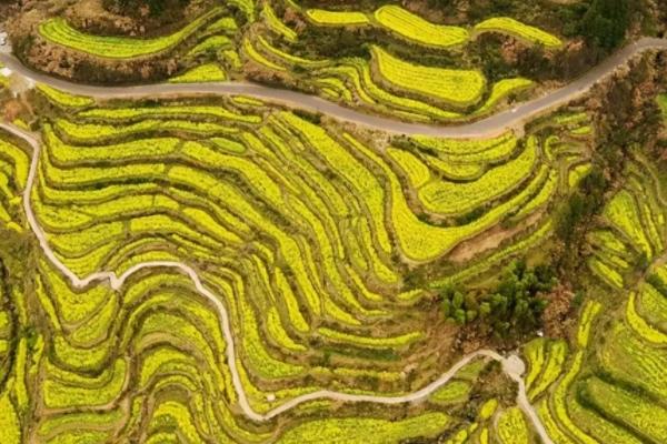 江西适合秋天去旅游的地方