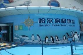 哈尔滨极地馆门票多少钱一张2024