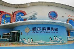 哈尔滨极地馆门票怎么买便宜