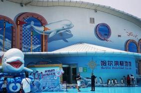 哈尔滨极地馆一日游攻略2024