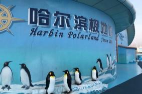 哈尔滨极地馆老人免费吗