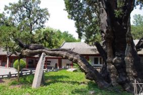 嵩阳书院在嵩山风景区吗