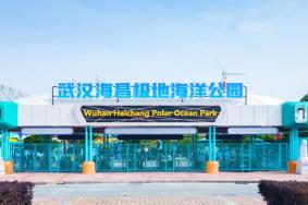 武汉海昌极地海洋公园附近有什么好吃的