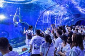 武汉海昌极地海洋公园可以带吃的进去吗