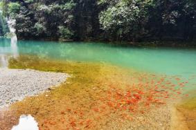 武隆喀斯特旅游区在哪里