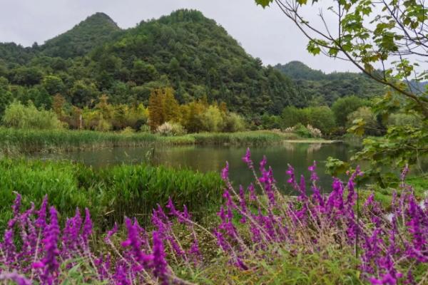 贵州适合养老定居的城市