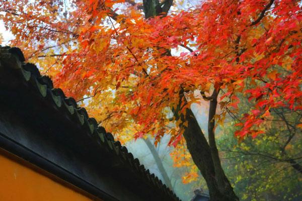 台州适合秋天旅游的地方 八大最美景点推荐