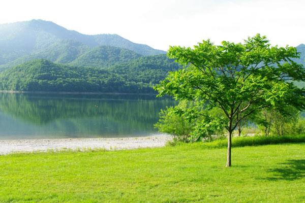 镇江看红叶最佳地点在哪里