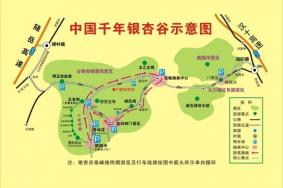 随州银杏谷停车方便吗