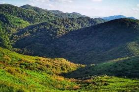 万盛石林和黑山谷哪个好玩