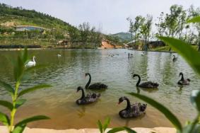 2022南京金牛湖野生动物园最新免费开放时间