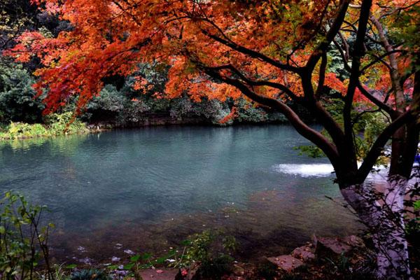 2022杭州的深秋哪里最美