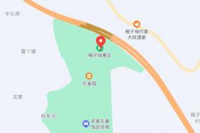 桐子坳在什么地方?怎么去?