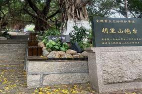 2023胡里山炮台表演时间是什么时候