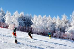 崇禮滑雪場有哪些 七大最好滑雪場介紹