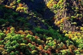 汤旺河石林风景区游玩多长时间