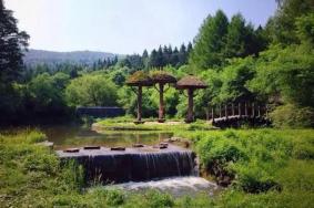 汤旺河石林风景区在哪儿？要怎么过去？