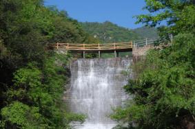 平顶山画眉谷景区电话多少