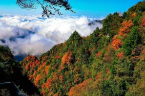 巴山大峡谷红叶最佳观看时间及地点