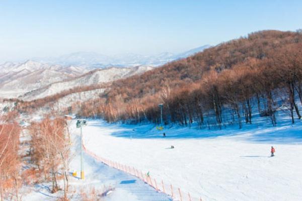 天津滑雪场哪个好玩一点