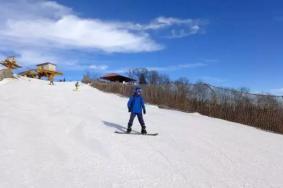 伏牛山滑雪场雪道长度