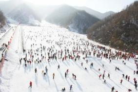 洛阳伏牛山滑雪度假乐园怎么去