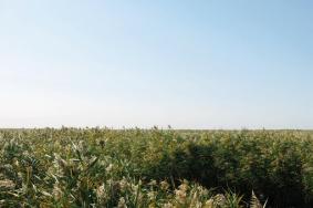 天津盘山风景区爬山要多久？要多长时间？