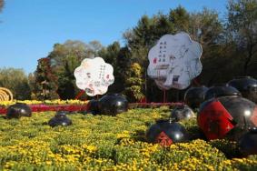 沈阳植物园不收门票了吗