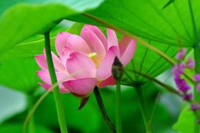 沈阳世博园内景点介绍