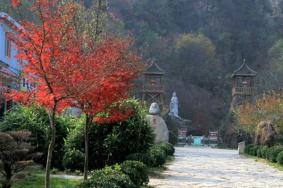 养子沟景区旅游年票能用吗