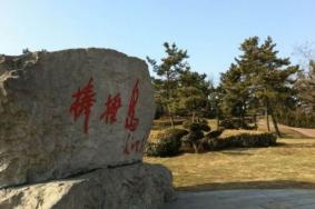棒棰岛辽参吃法介绍