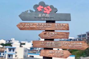 2022花鸟岛荧光海最佳时期