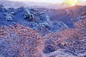 千山景区电话 游客服务中心电话