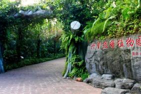 兴隆热带植物园门票优惠政策2024