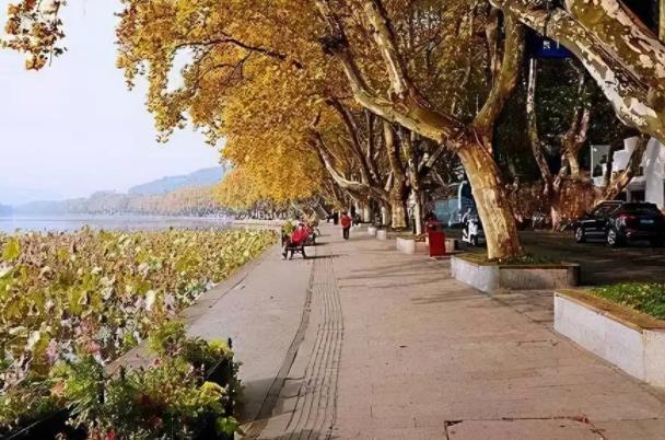 秋天杭州西湖最美的地方