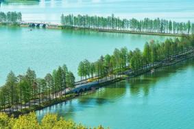 2022武汉东湖绿道封闭了吗现在