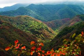 2022甘山国家森林公园门票优惠政策
