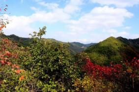 2022甘山国家森林公园开放时间