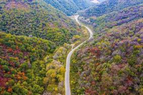 甘山国家森林公园交通路线