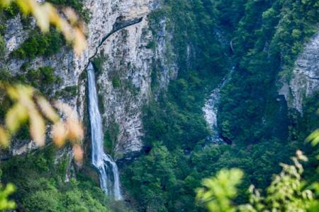 张家界大峡谷旅游攻略-门票价格-景点信息