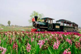 木兰花乡25个游玩景点